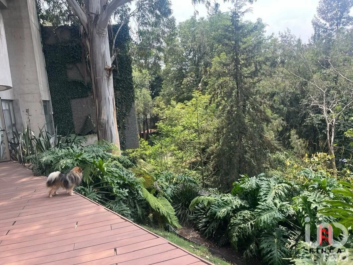 Casa en Venta en Lomas de Bezares, Miguel Hidalgo, Ciudad de México | NEX-271711 | iad México | Foto 13 de 49
