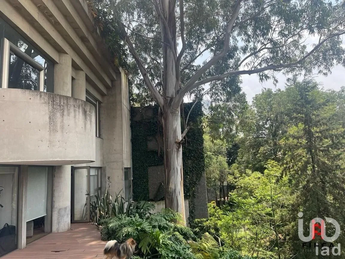 Casa en Venta en Lomas de Bezares, Miguel Hidalgo, Ciudad de México | NEX-271711 | iad México | Foto 10 de 49