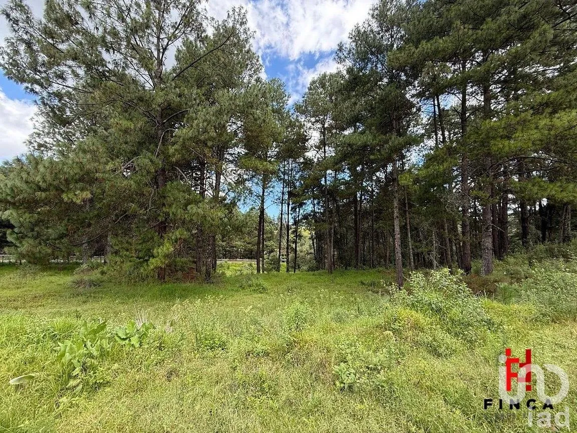 Terreno en Venta en Los Saúcos, Valle de Bravo, Estado de México | NEX-288096 | iad México | Foto 3 de 9