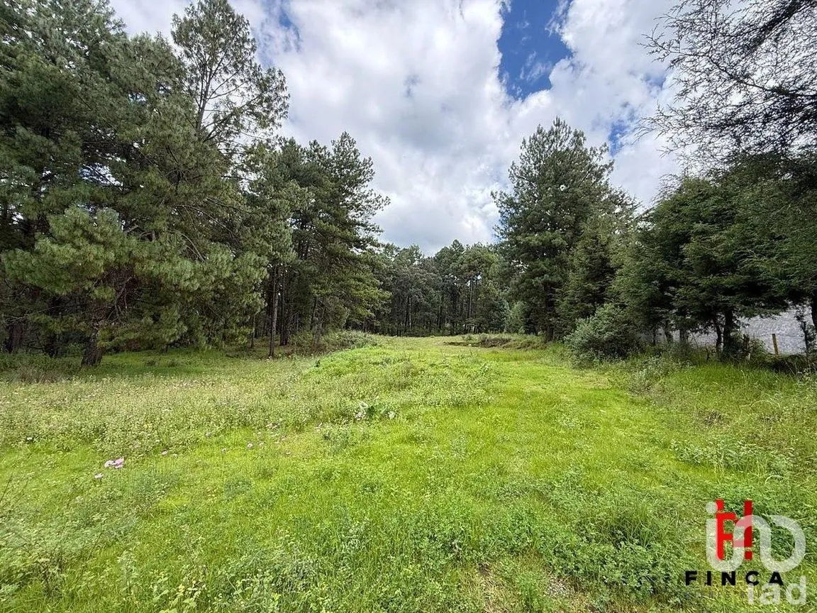 Terreno en Venta en Los Saúcos, Valle de Bravo, Estado de México | NEX-288096 | iad México | Foto 4 de 9