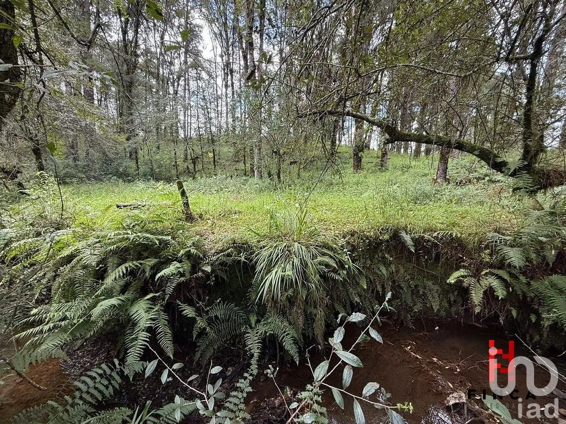 Terreno en Venta en Los Saúcos, Valle de Bravo, Estado de México | NEX-288096 | iad México | Foto 5 de 9