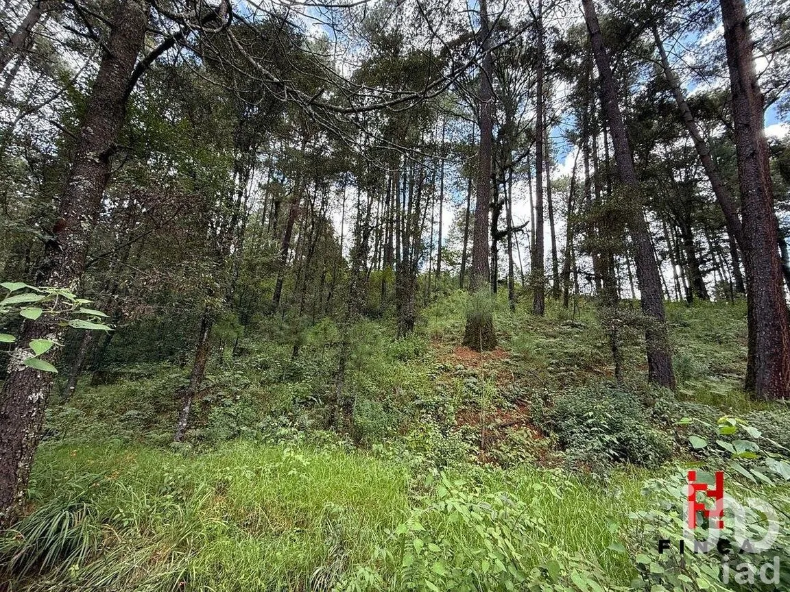 Terreno en Venta en Los Saúcos, Valle de Bravo, Estado de México | NEX-288096 | iad México | Foto 7 de 9