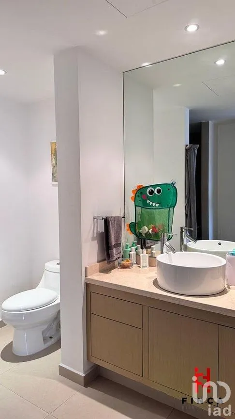 Departamento en Venta en Lomas de Chapultepec I Sección, Miguel Hidalgo, Ciudad de México | NEX-288359 | iad México | Foto 24 de 26