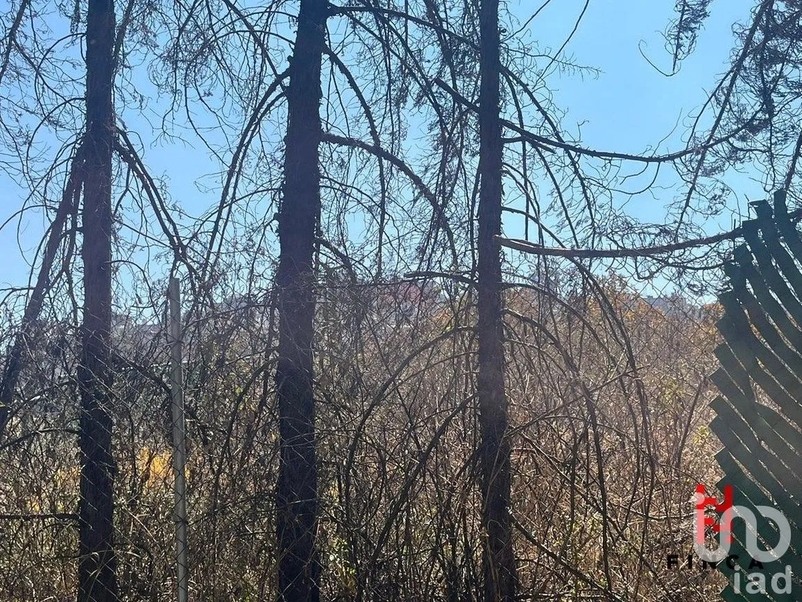 Terreno en Venta en Lomas Country Club, Huixquilucan, Estado de México | NEX-290240 | iad México | Foto 4 de 7