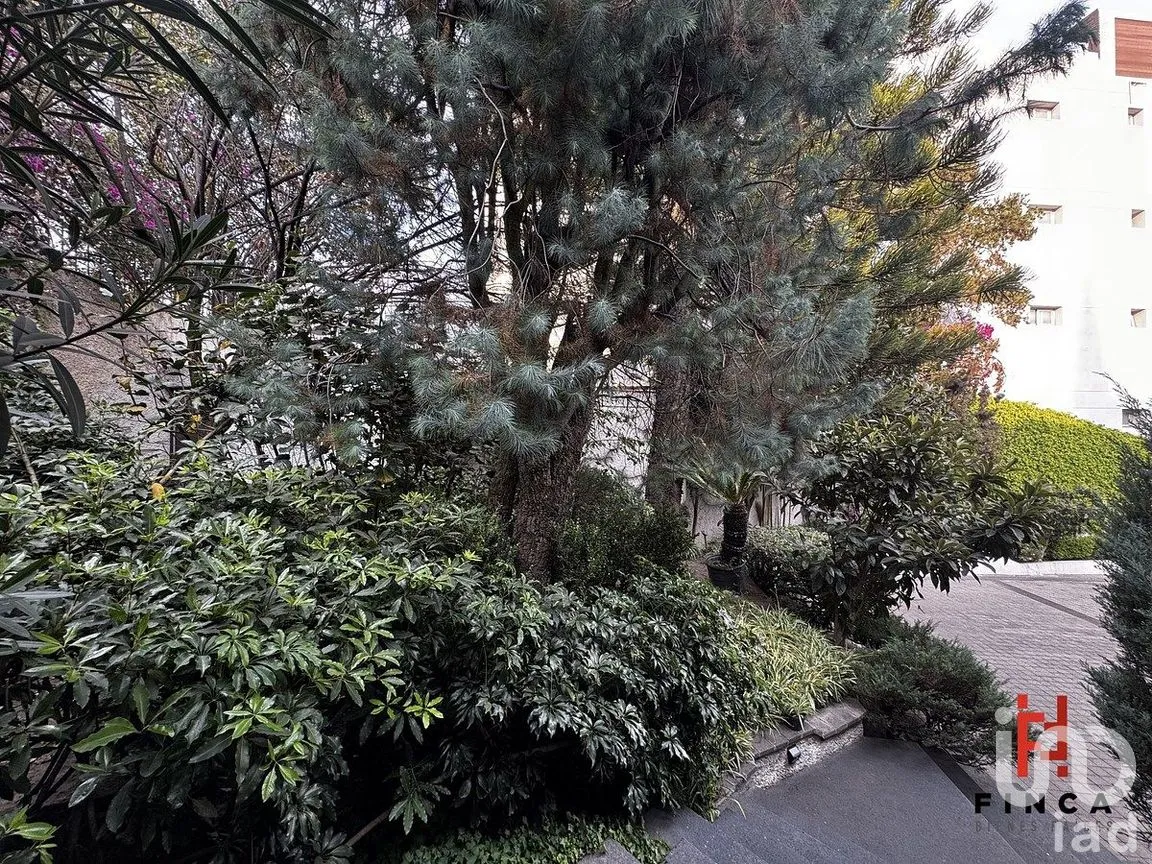 Casa en Venta en Bosque de las Lomas, Miguel Hidalgo, Ciudad de México | NEX-291439 | iad México | Foto 11 de 30