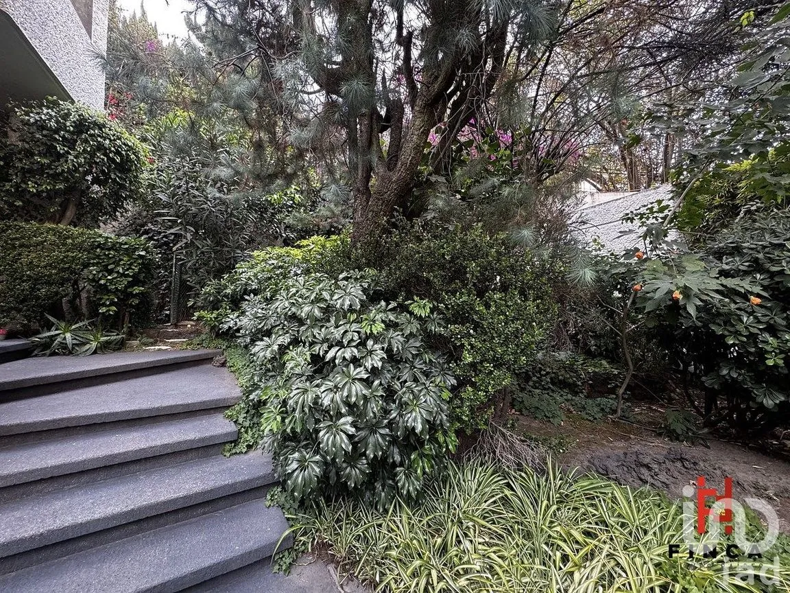 Casa en Venta en Bosque de las Lomas, Miguel Hidalgo, Ciudad de México | NEX-291439 | iad México | Foto 10 de 30
