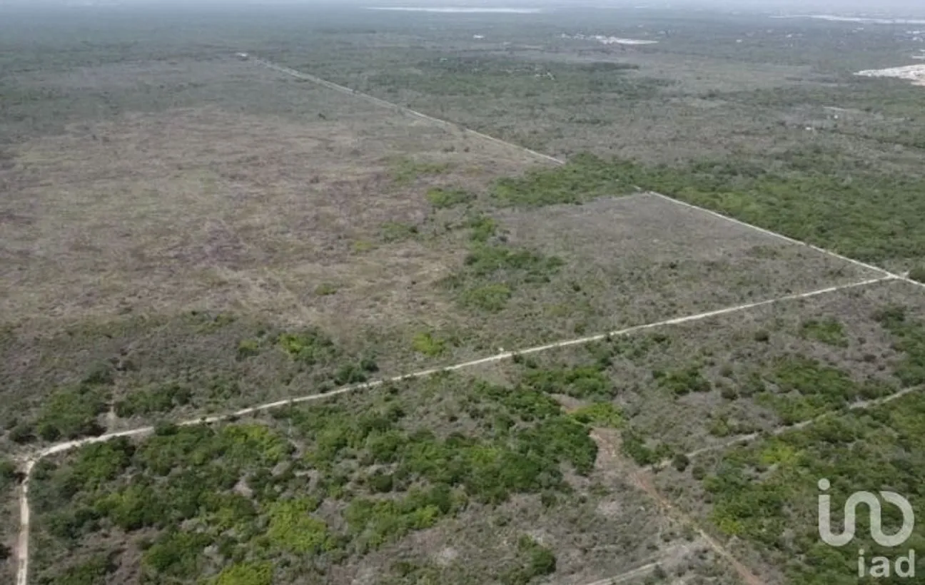 Terreno en Venta en Yaxkukul, Yaxkukul, Yucatán | NEX-228436 | iad México | Foto 4 de 8