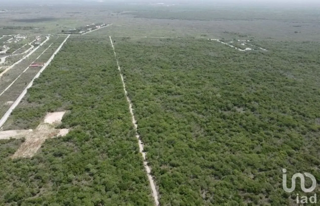 Terreno en Venta en Yaxkukul, Yaxkukul, Yucatán | NEX-228436 | iad México | Foto 7 de 8