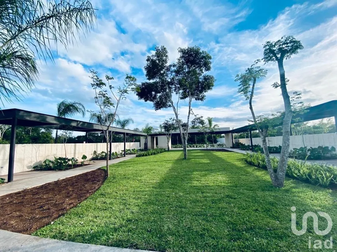 Terreno en Venta en Chablekal, Mérida, Yucatán | NEX-228438 | iad México | Foto 16 de 26