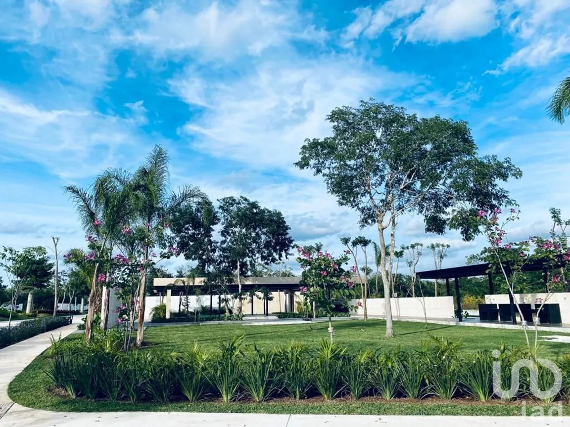 Terreno en Venta en Chablekal, Mérida, Yucatán | NEX-228438 | iad México | Foto 22 de 26