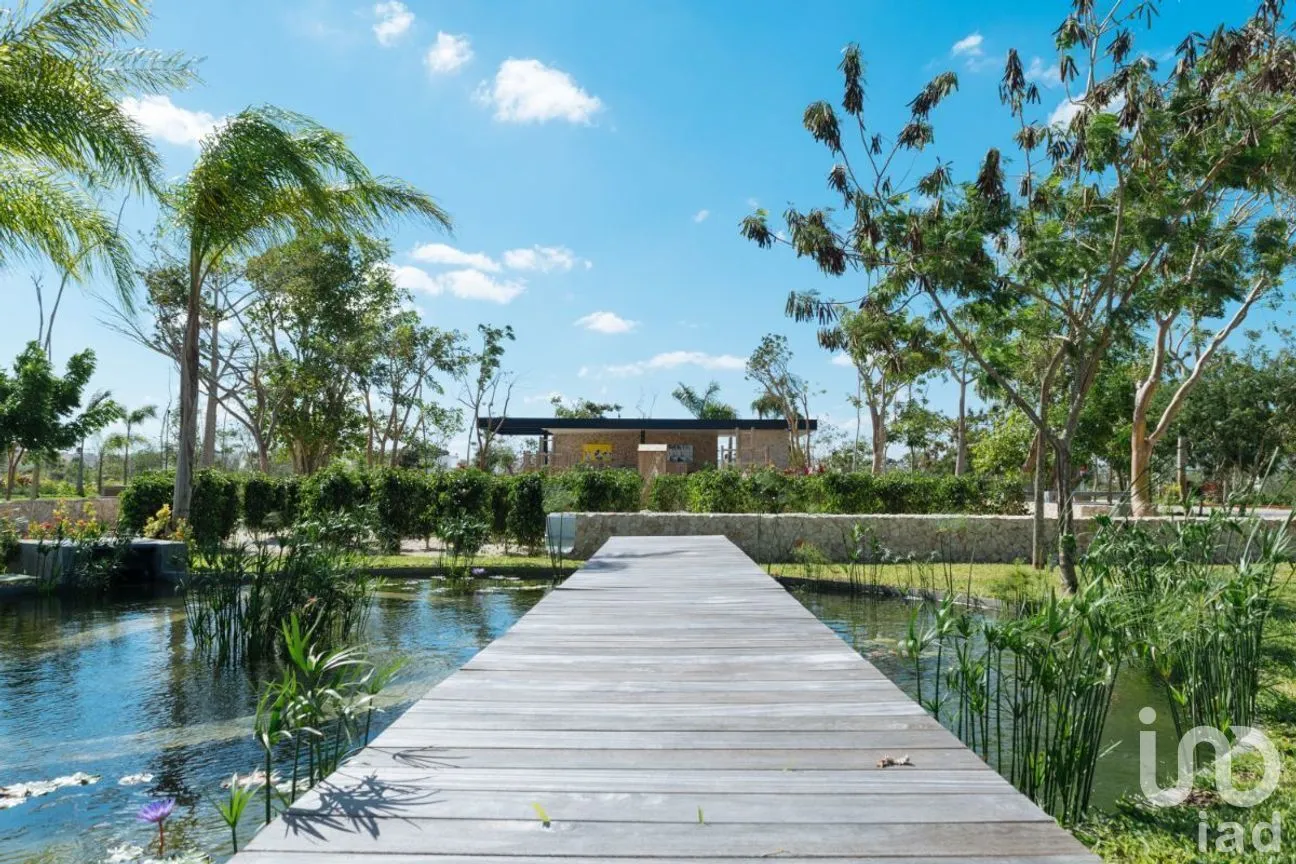 Terreno en Venta en Conkal, Conkal, Yucatán | NEX-228442 | iad México | Foto 12 de 23