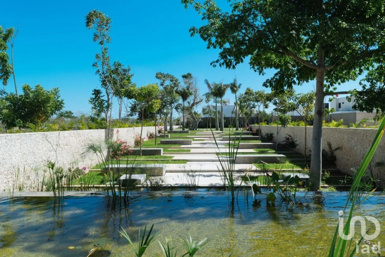 Terreno en Venta en Conkal, Conkal, Yucatán | NEX-228442 | iad México | Foto 22 de 23