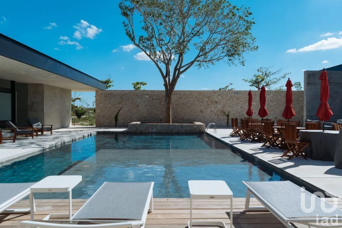 Terreno en Venta en Conkal, Conkal, Yucatán | NEX-228442 | iad México | Foto 10 de 23
