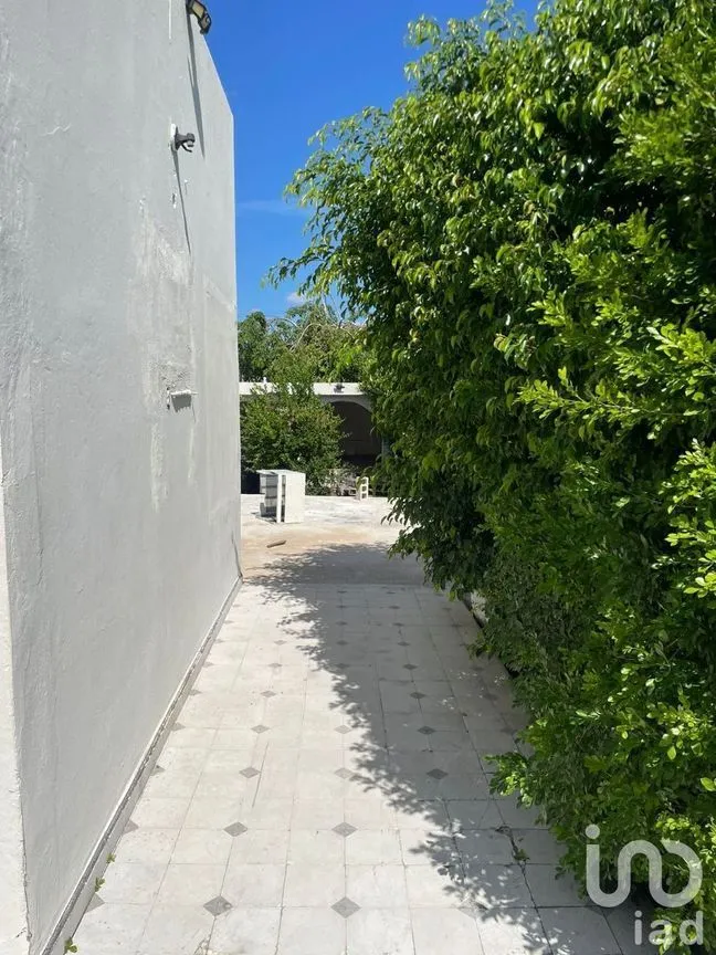 Casa en Renta en México, Mérida, Yucatán | NEX-228983 | iad México | Foto 19 de 21