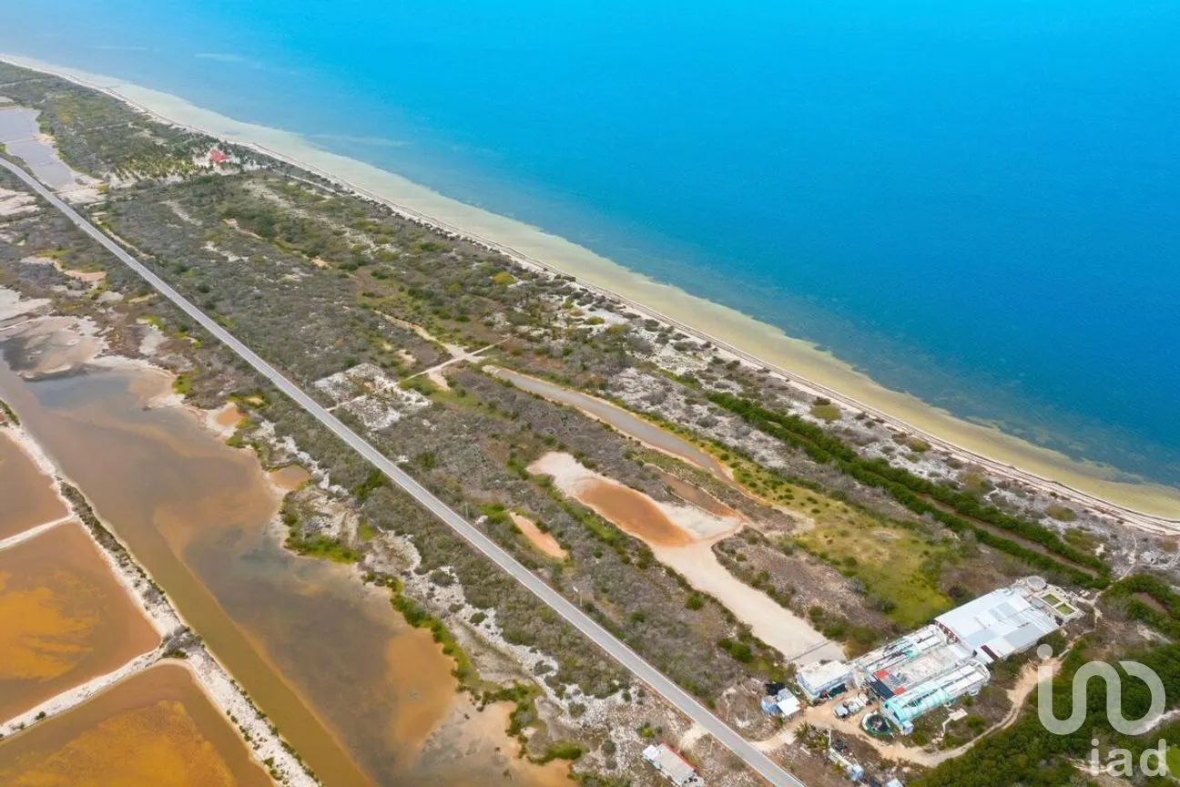 Terreno en Venta en Santa Clara, Dzidzantún, Yucatán | NEX-229338 | iad México | Foto 2 de 5