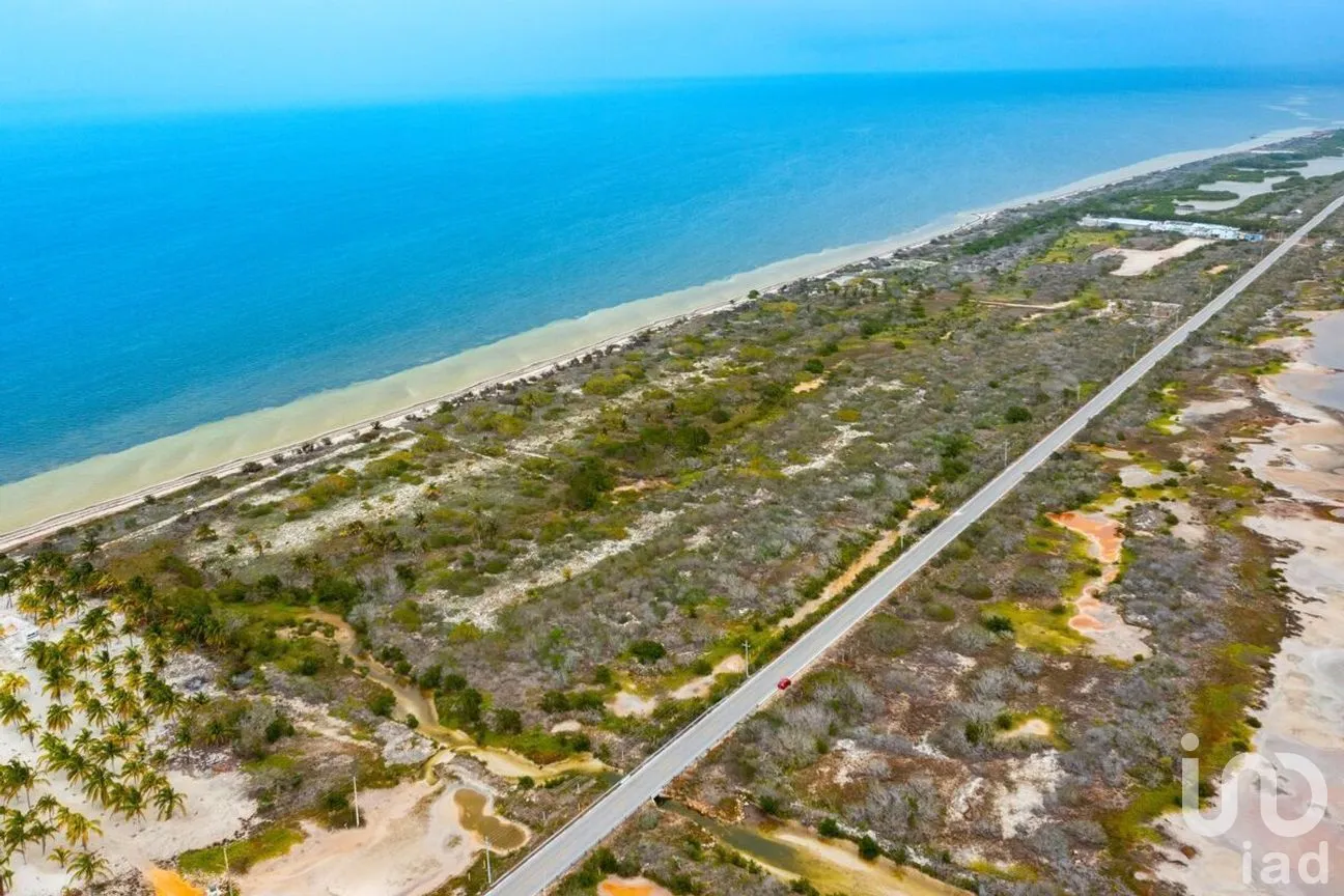 Terreno en Venta en Santa Clara, Dzidzantún, Yucatán | NEX-229338 | iad México | Foto 4 de 5