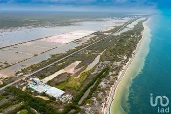 NEX-229338 - Terreno en Venta en Santa Clara, CP 97504, Yucatán.