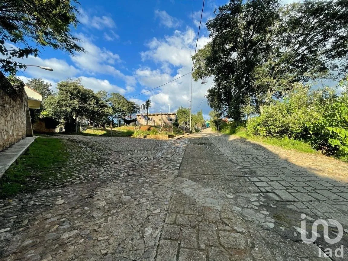Terreno en Venta en Santa Rosa de Lima, Guanajuato, Guanajuato | NEX-227968 | iad México | Foto 3 de 3