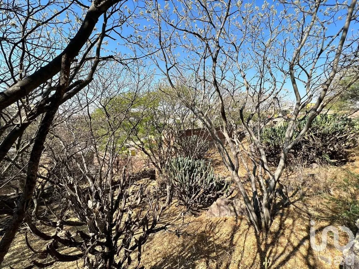 Terreno en Venta en Marfil Centro, Guanajuato, Guanajuato | NEX-227975 | iad México | Foto 13 de 17