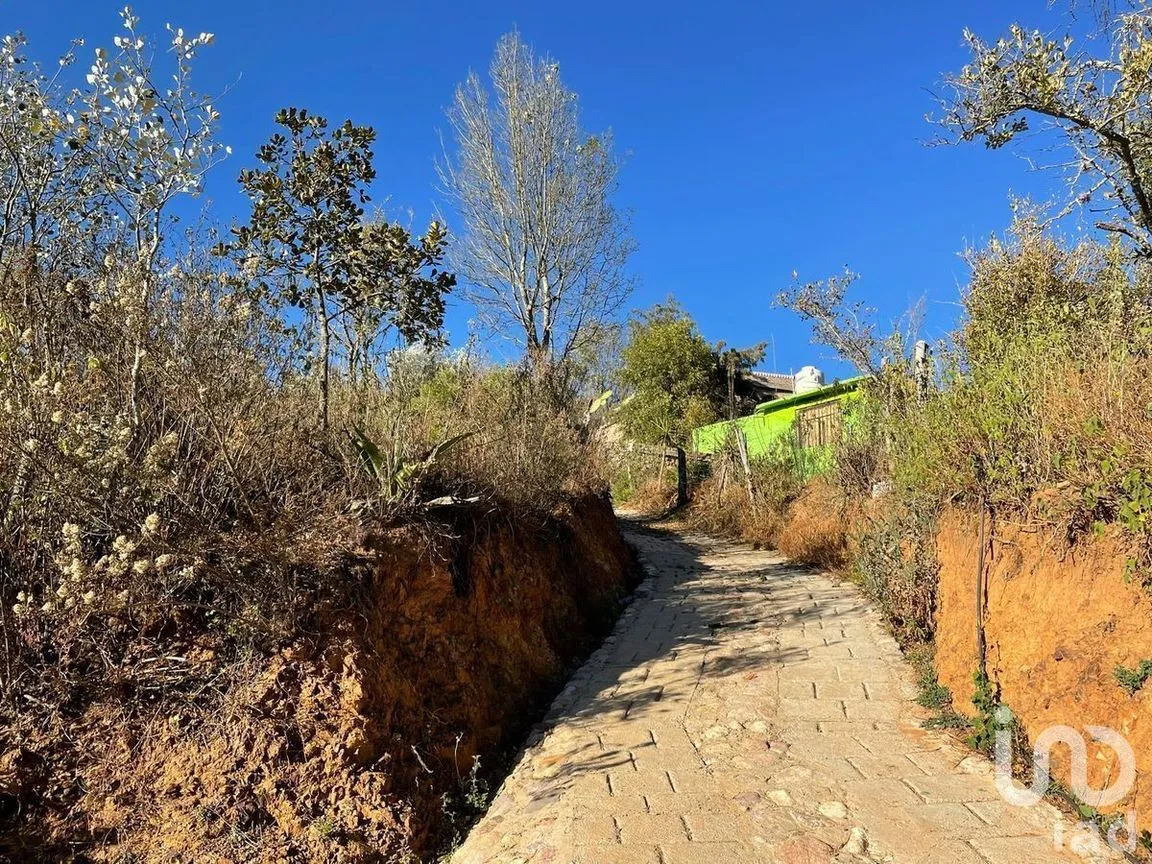 Terreno en Venta en Santa Rosa de Lima, Guanajuato, Guanajuato | NEX-227976 | iad México | Foto 2 de 22