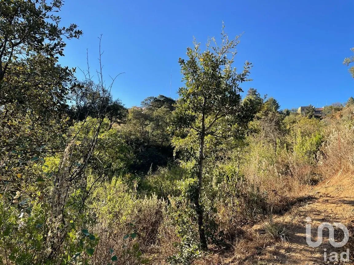 Terreno en Venta en Santa Rosa de Lima, Guanajuato, Guanajuato | NEX-227976 | iad México | Foto 13 de 22