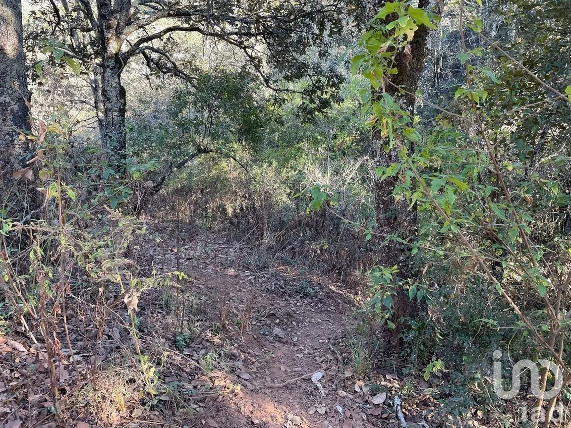 Terreno en Venta en Santa Rosa de Lima, Guanajuato, Guanajuato | NEX-227976 | iad México | Foto 16 de 22