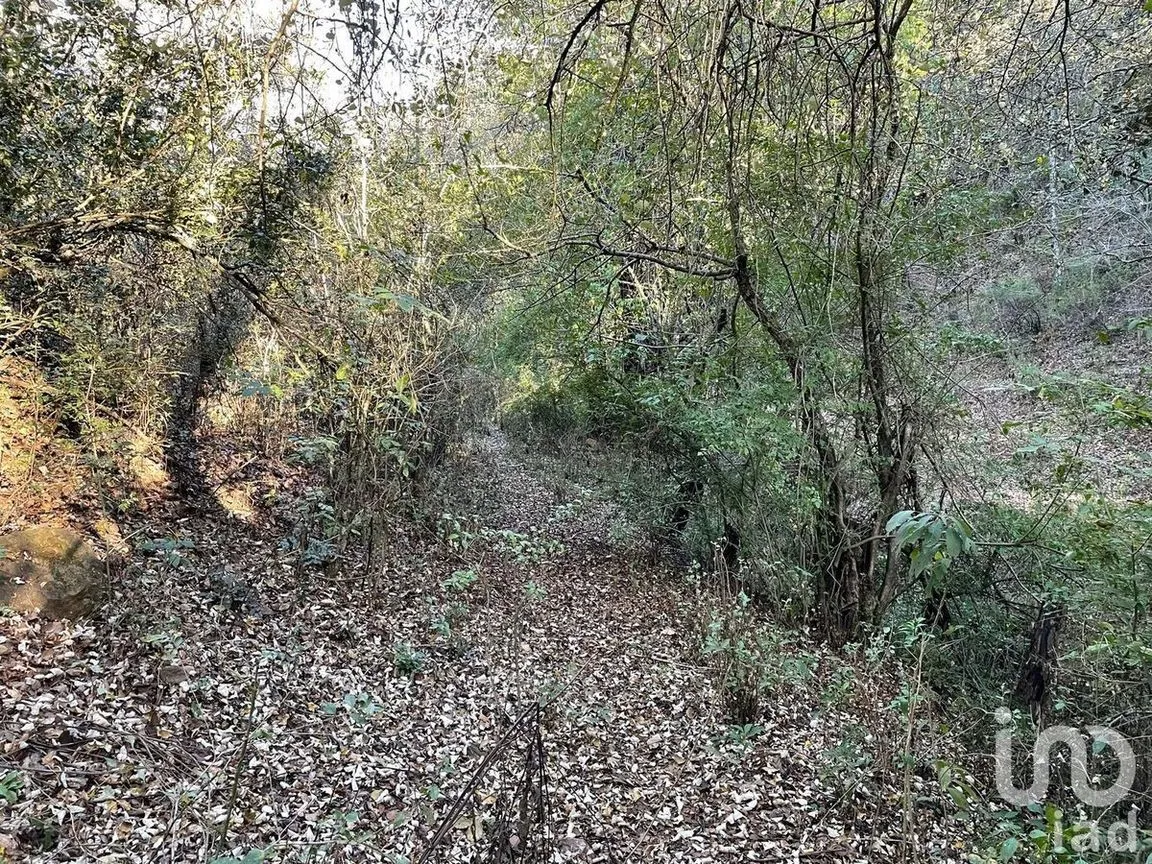 Terreno en Venta en Santa Rosa de Lima, Guanajuato, Guanajuato | NEX-227976 | iad México | Foto 18 de 22