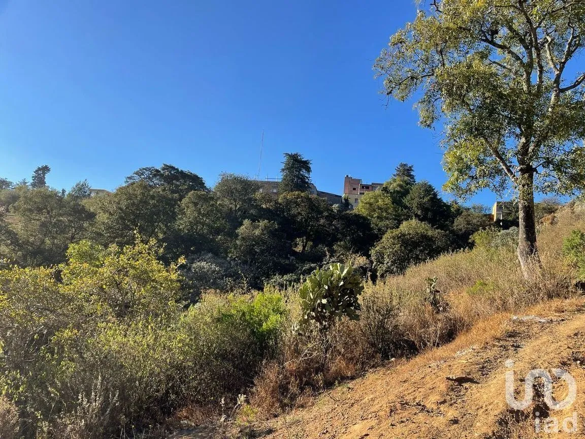 Terreno en Venta en Santa Rosa de Lima, Guanajuato, Guanajuato | NEX-227976 | iad México | Foto 3 de 22
