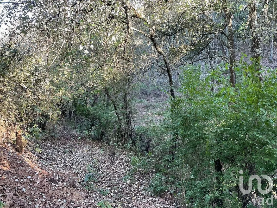 Terreno en Venta en Santa Rosa de Lima, Guanajuato, Guanajuato | NEX-227976 | iad México | Foto 21 de 22