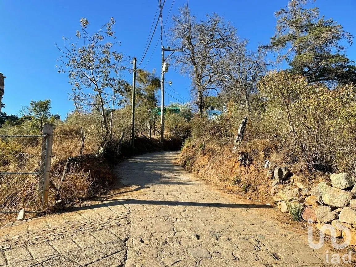 Terreno en Venta en Santa Rosa de Lima, Guanajuato, Guanajuato | NEX-227976 | iad México | Foto 4 de 22