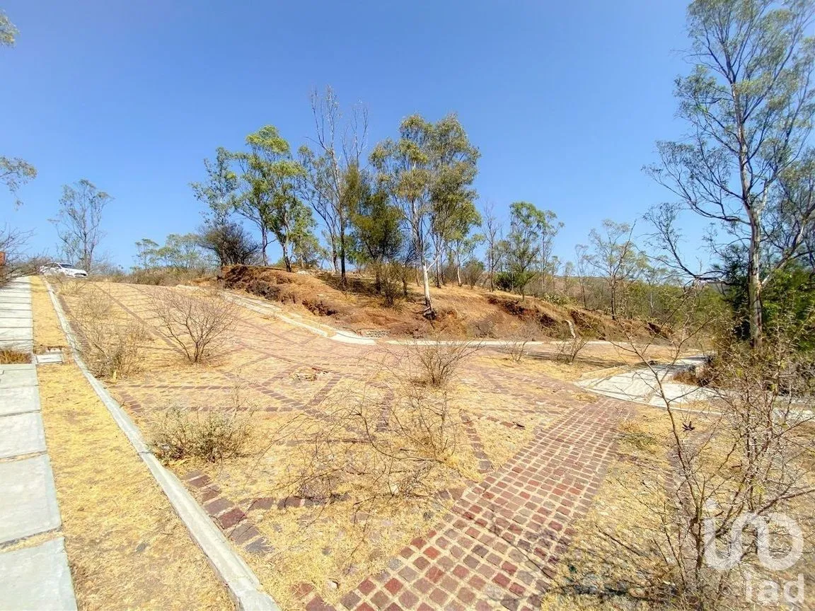 Terreno en Venta en San Javier 1, Guanajuato, Guanajuato | NEX-227977 | iad México | Foto 16 de 26