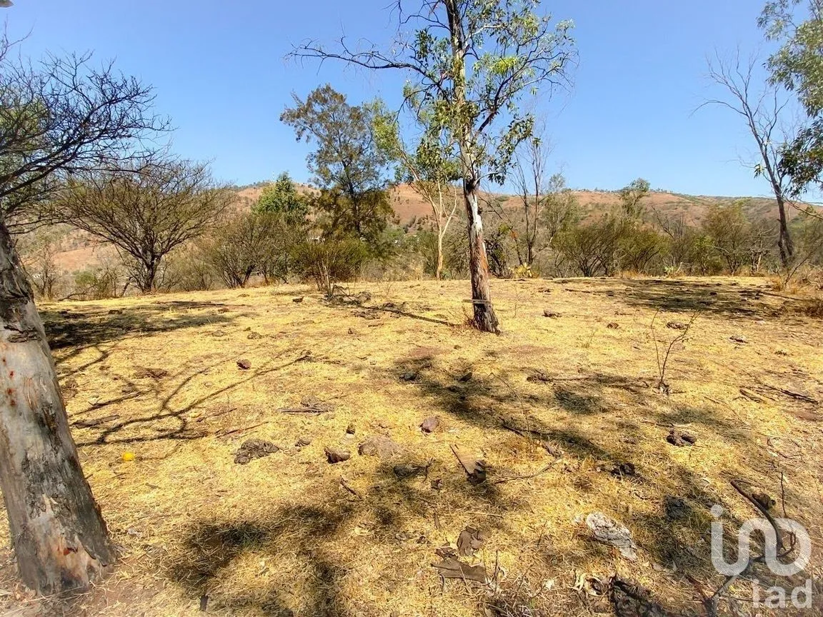 Terreno en Venta en San Javier 1, Guanajuato, Guanajuato | NEX-227977 | iad México | Foto 20 de 26
