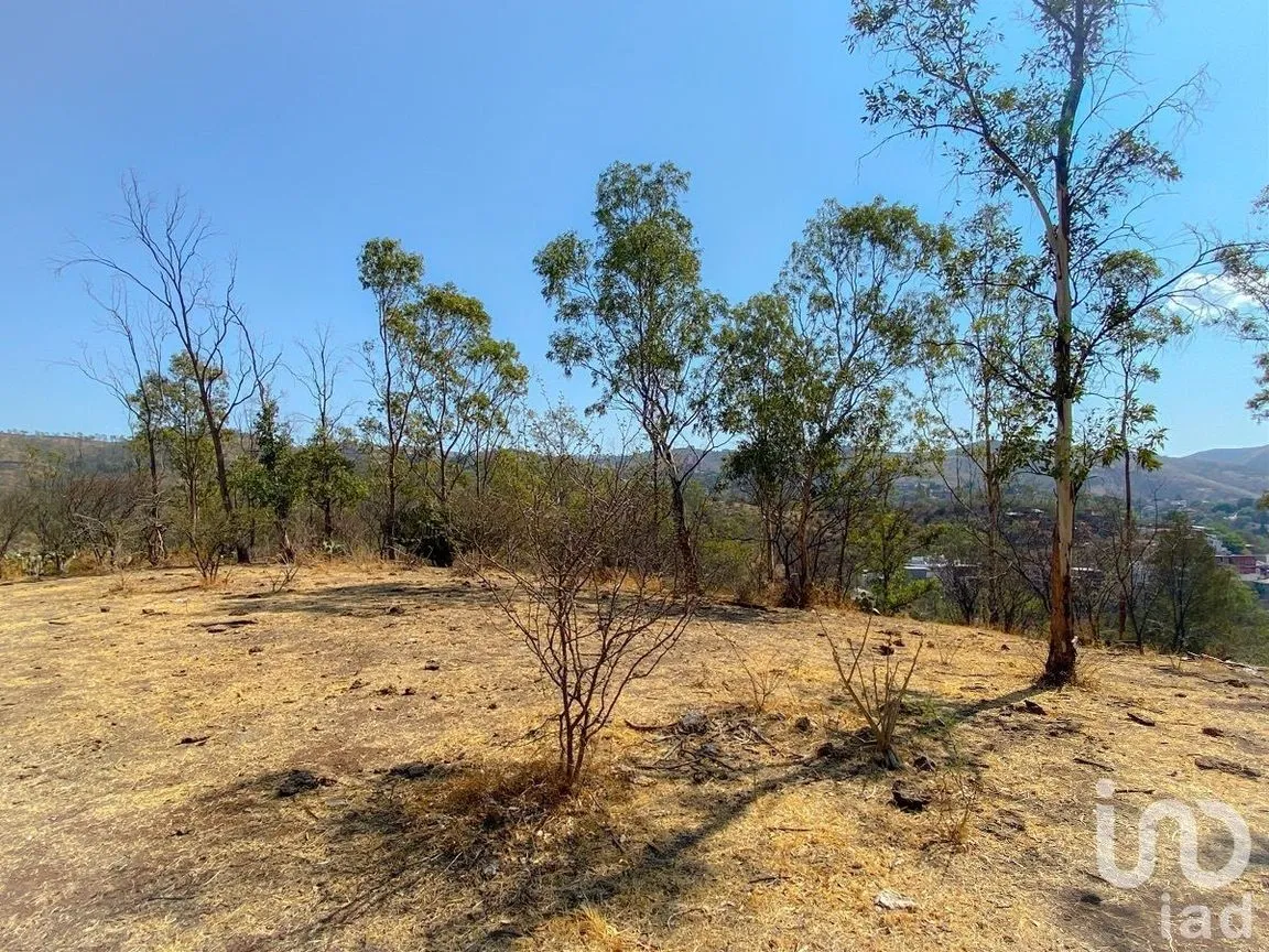 Terreno en Venta en San Javier 1, Guanajuato, Guanajuato | NEX-227977 | iad México | Foto 21 de 26