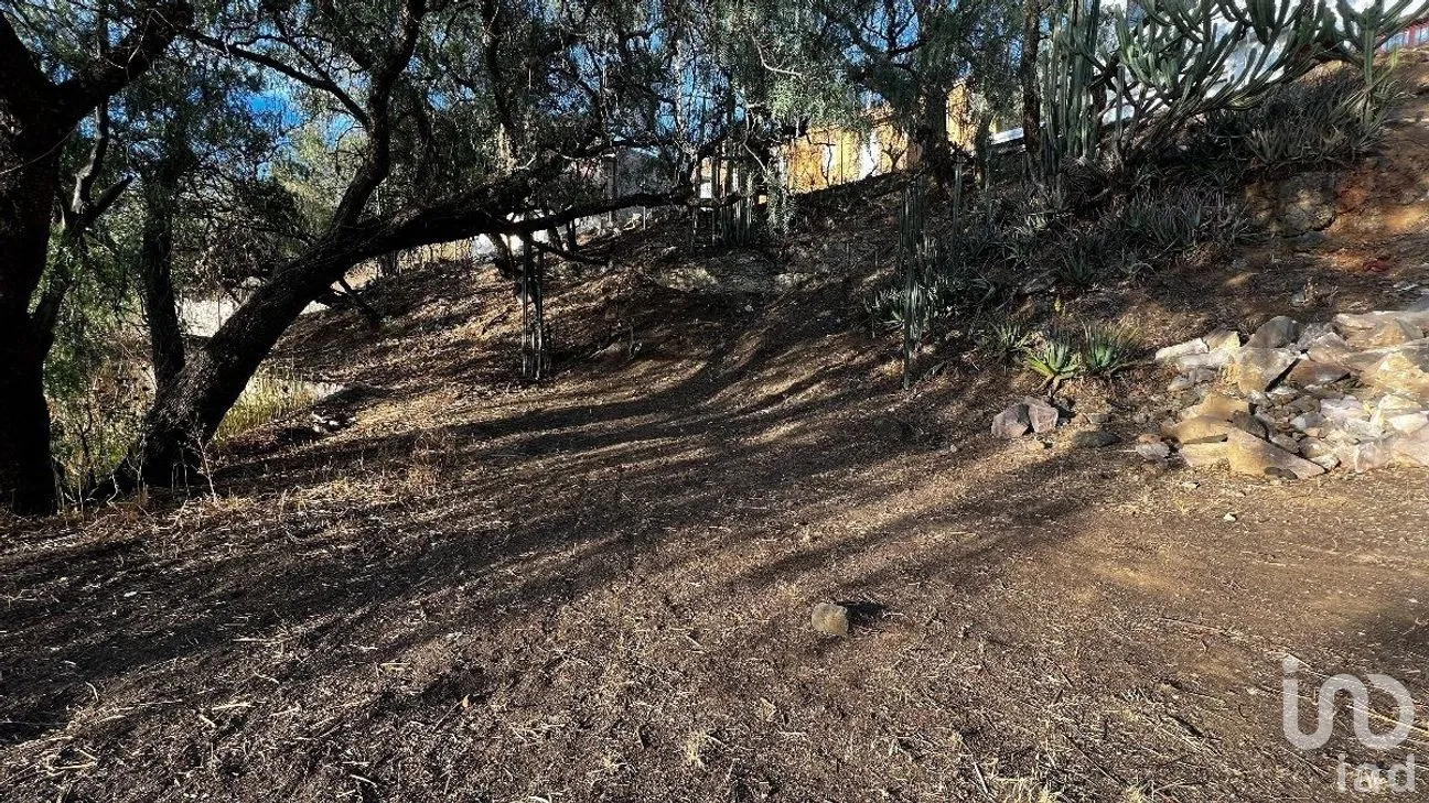 Terreno en Venta en Lomas de Valenciana, Guanajuato, Guanajuato | NEX-227978 | iad México | Foto 10 de 11