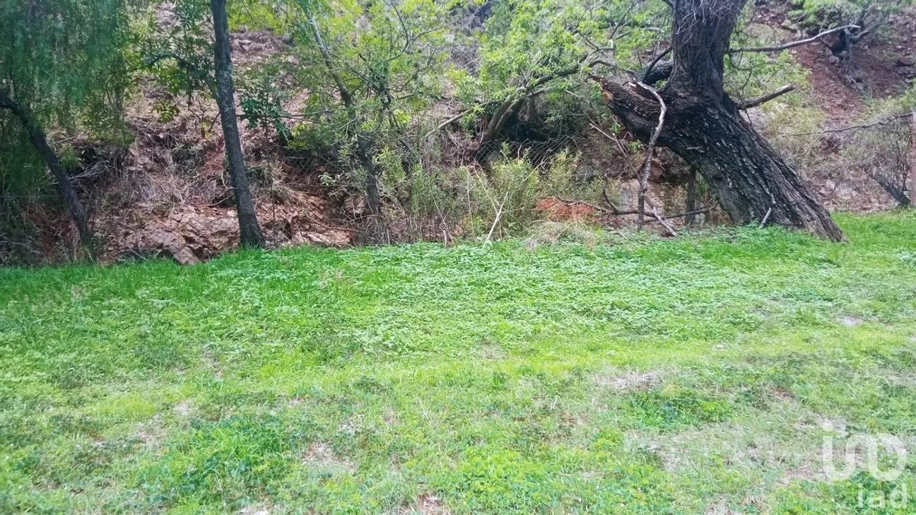 Terreno en Venta en Filtros de Valenciana, Guanajuato, Guanajuato | NEX-227981 | iad México | Foto 3 de 10