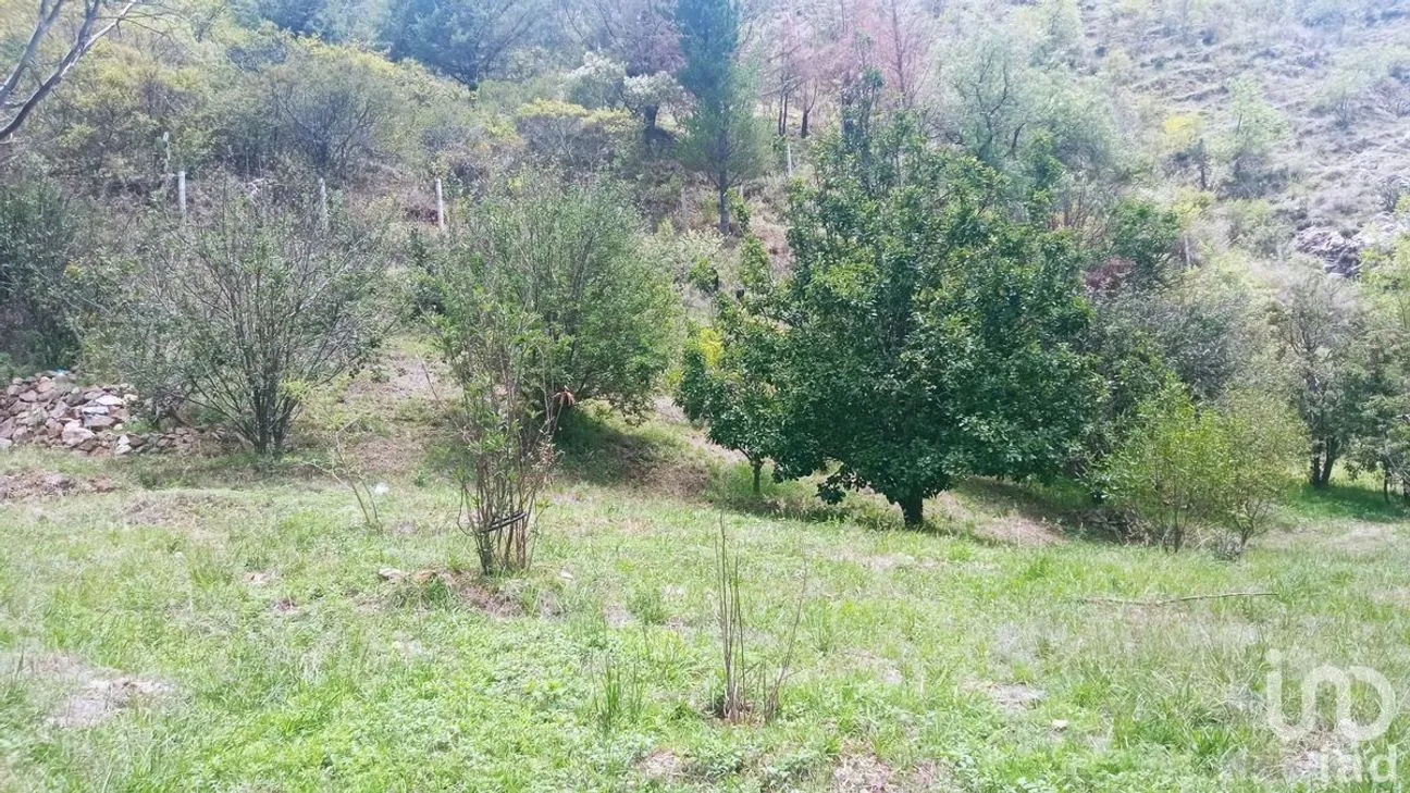 Terreno en Venta en Filtros de Valenciana, Guanajuato, Guanajuato | NEX-227981 | iad México | Foto 4 de 10