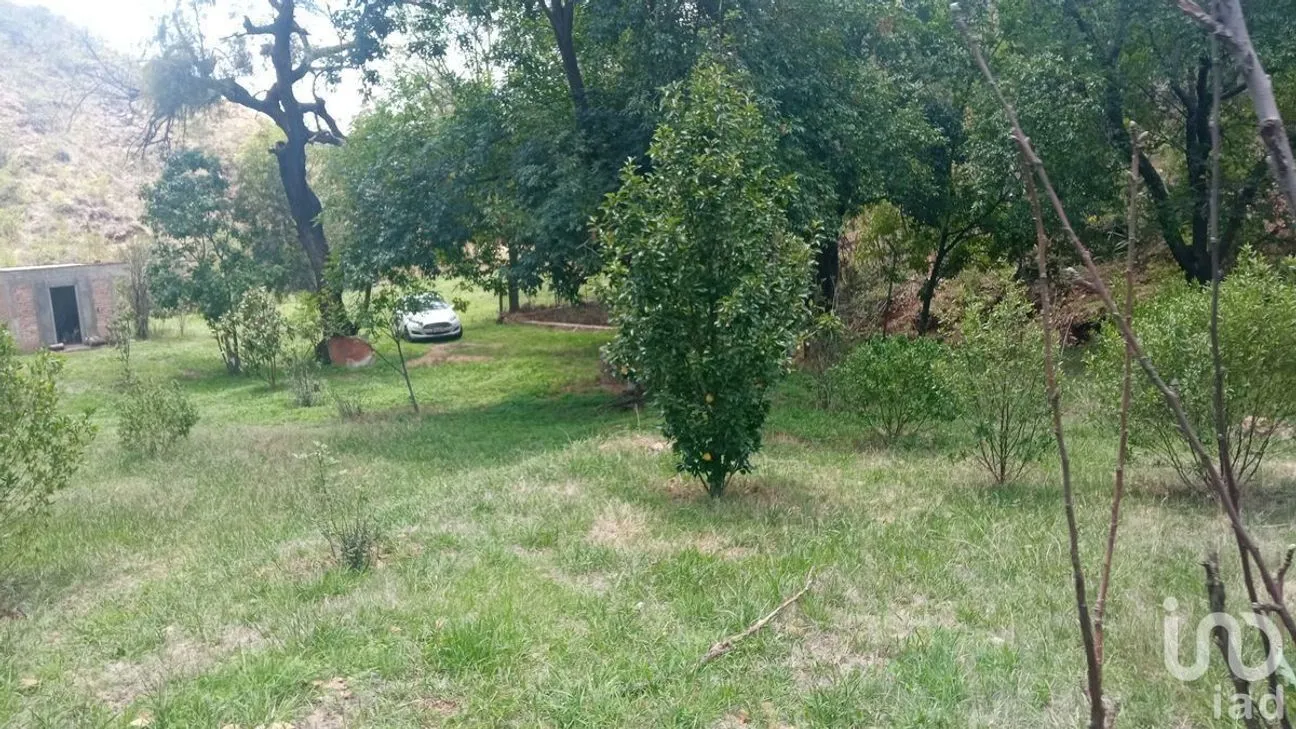 Terreno en Venta en Filtros de Valenciana, Guanajuato, Guanajuato | NEX-227981 | iad México | Foto 5 de 10