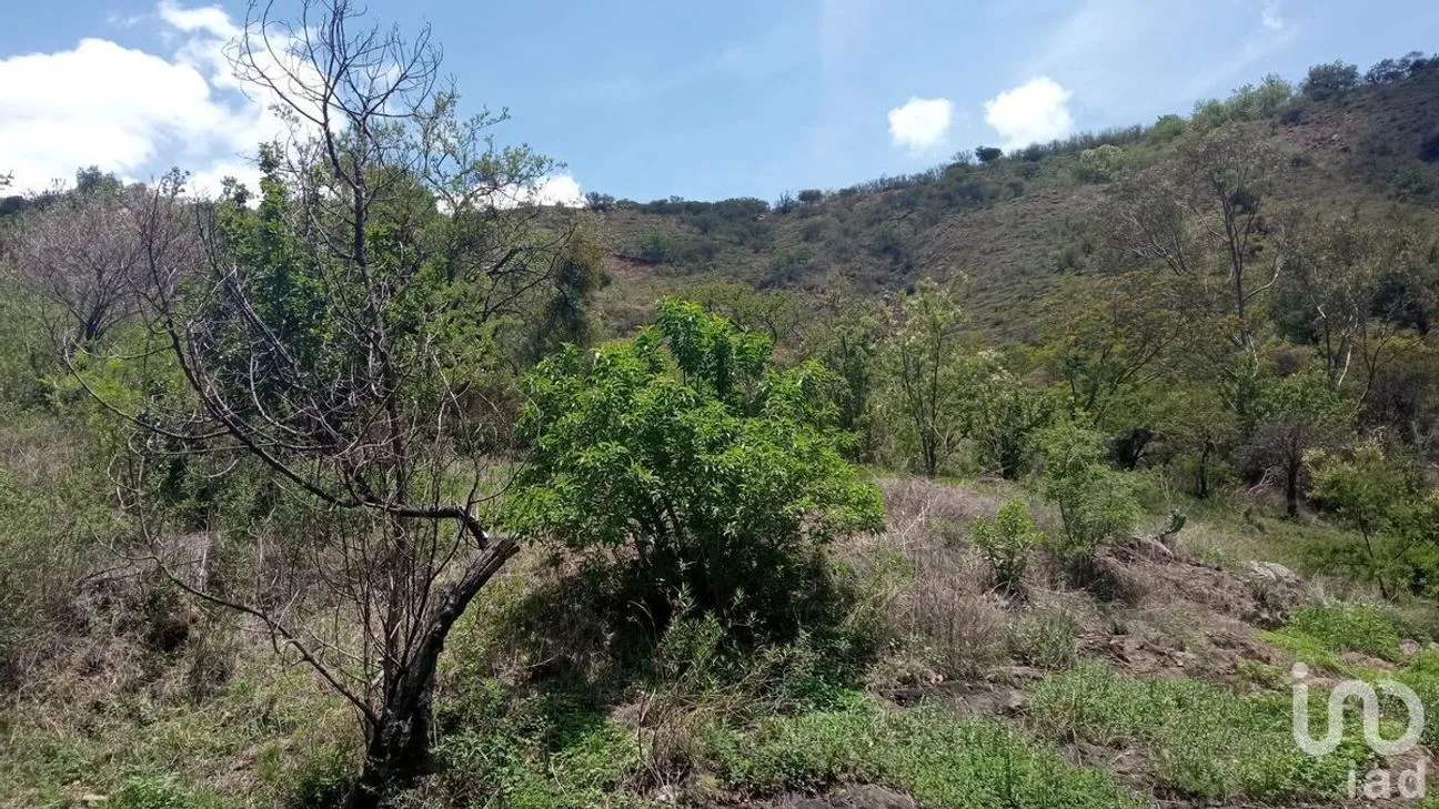 Terreno en Venta en Filtros de Valenciana, Guanajuato, Guanajuato | NEX-227981 | iad México | Foto 6 de 10