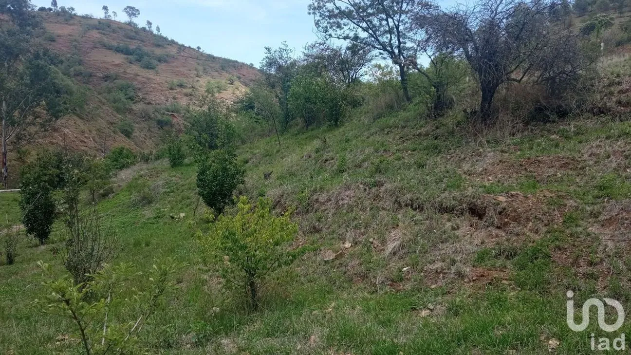Terreno en Venta en Filtros de Valenciana, Guanajuato, Guanajuato | NEX-227981 | iad México | Foto 8 de 10