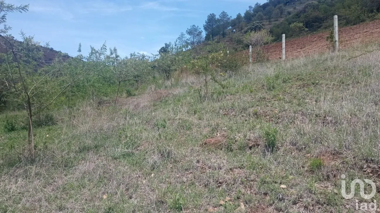 Terreno en Venta en Filtros de Valenciana, Guanajuato, Guanajuato | NEX-227981 | iad México | Foto 9 de 10