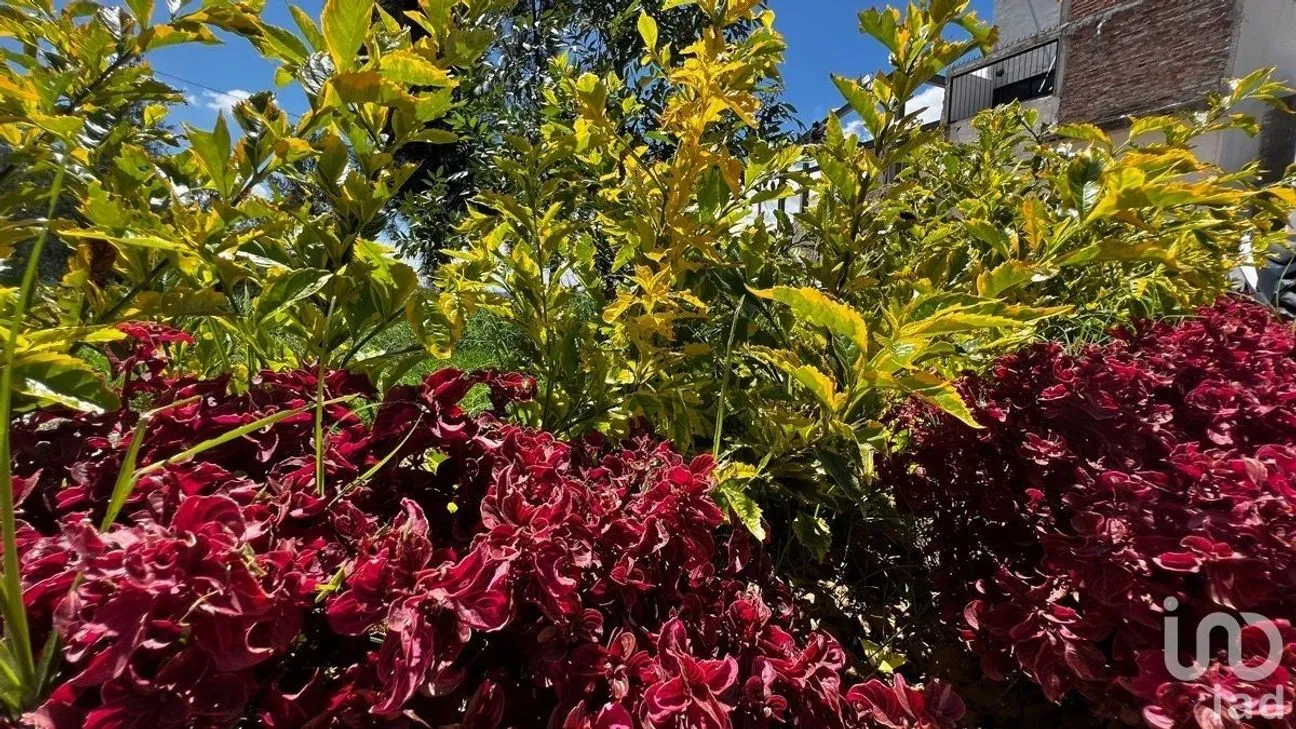 Terreno en Venta en Tres Estrellas, Guanajuato, Guanajuato | NEX-227983 | iad México | Foto 15 de 17