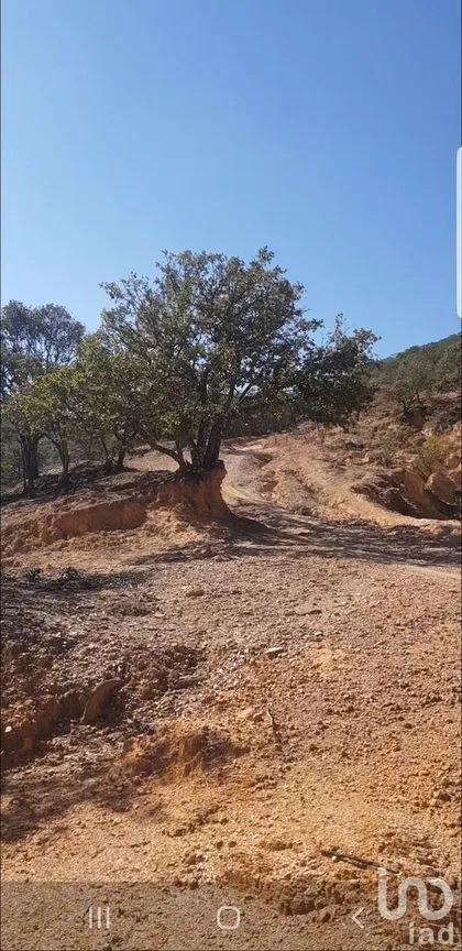 Terreno en Venta en Santa Rosa de Lima, Guanajuato, Guanajuato | NEX-227986 | iad México | Foto 4 de 6