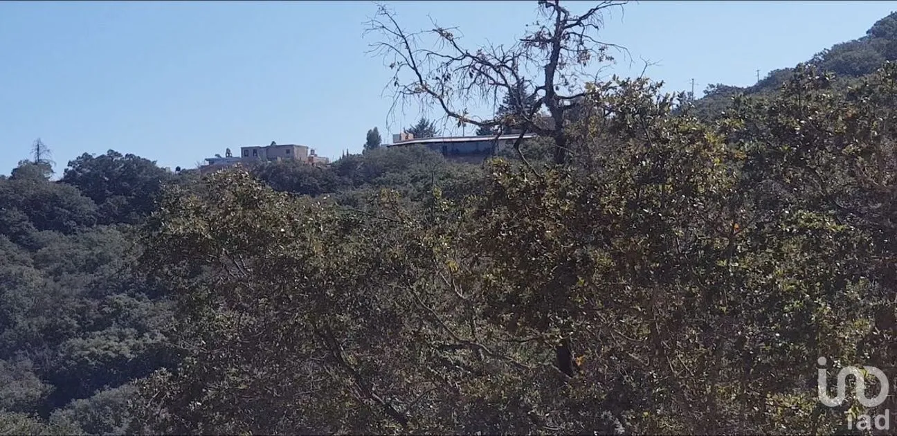 Terreno en Venta en Santa Rosa de Lima, Guanajuato, Guanajuato | NEX-227986 | iad México | Foto 1 de 6