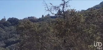 NEX-227986 - Terreno en Venta en Santa Rosa de Lima, CP 36220, Guanajuato.