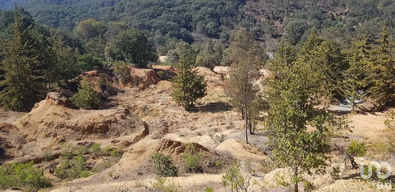 Terreno en Venta en Santa Rosa de Lima, Guanajuato, Guanajuato | NEX-227987 | iad México | Foto 4 de 8