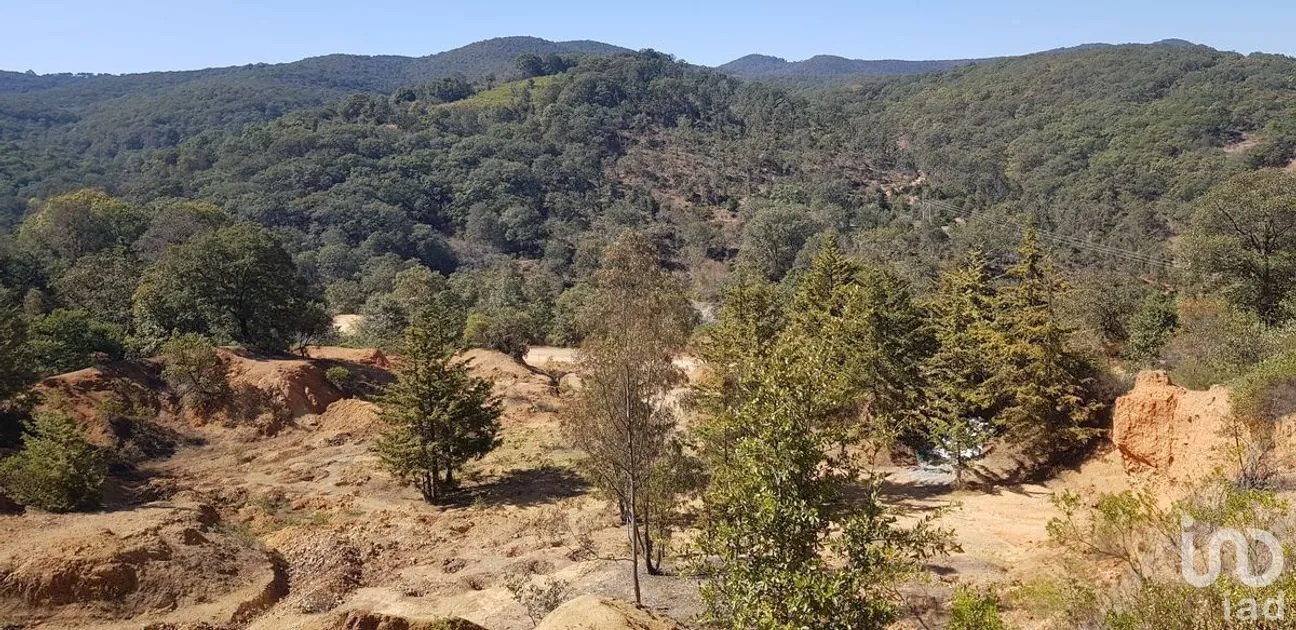 Terreno en Venta en Santa Rosa de Lima, Guanajuato, Guanajuato | NEX-227987 | iad México | Foto 5 de 8