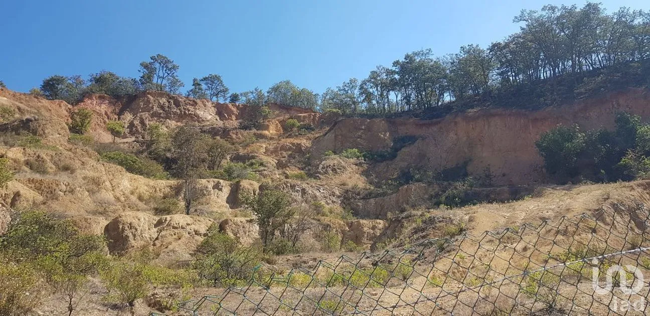 Terreno en Venta en Santa Rosa de Lima, Guanajuato, Guanajuato | NEX-227987 | iad México | Foto 6 de 8