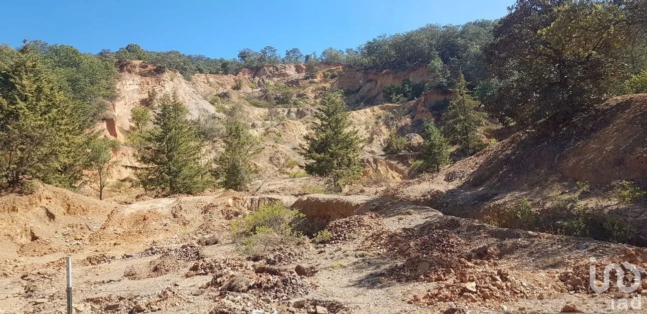 Terreno en Venta en Santa Rosa de Lima, Guanajuato, Guanajuato | NEX-227987 | iad México | Foto 8 de 8