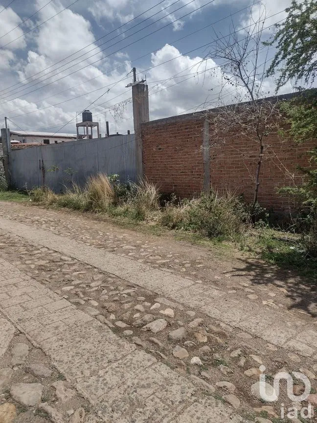 Terreno en Venta en El Maluco, Guanajuato, Guanajuato | NEX-227994 | iad México | Foto 2 de 19