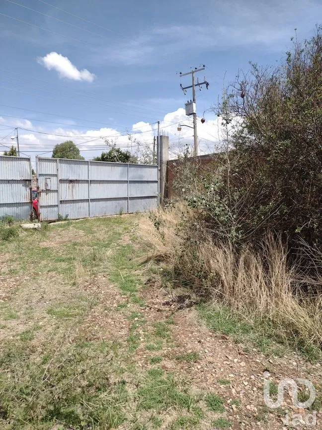 Terreno en Venta en El Maluco, Guanajuato, Guanajuato | NEX-227994 | iad México | Foto 4 de 19